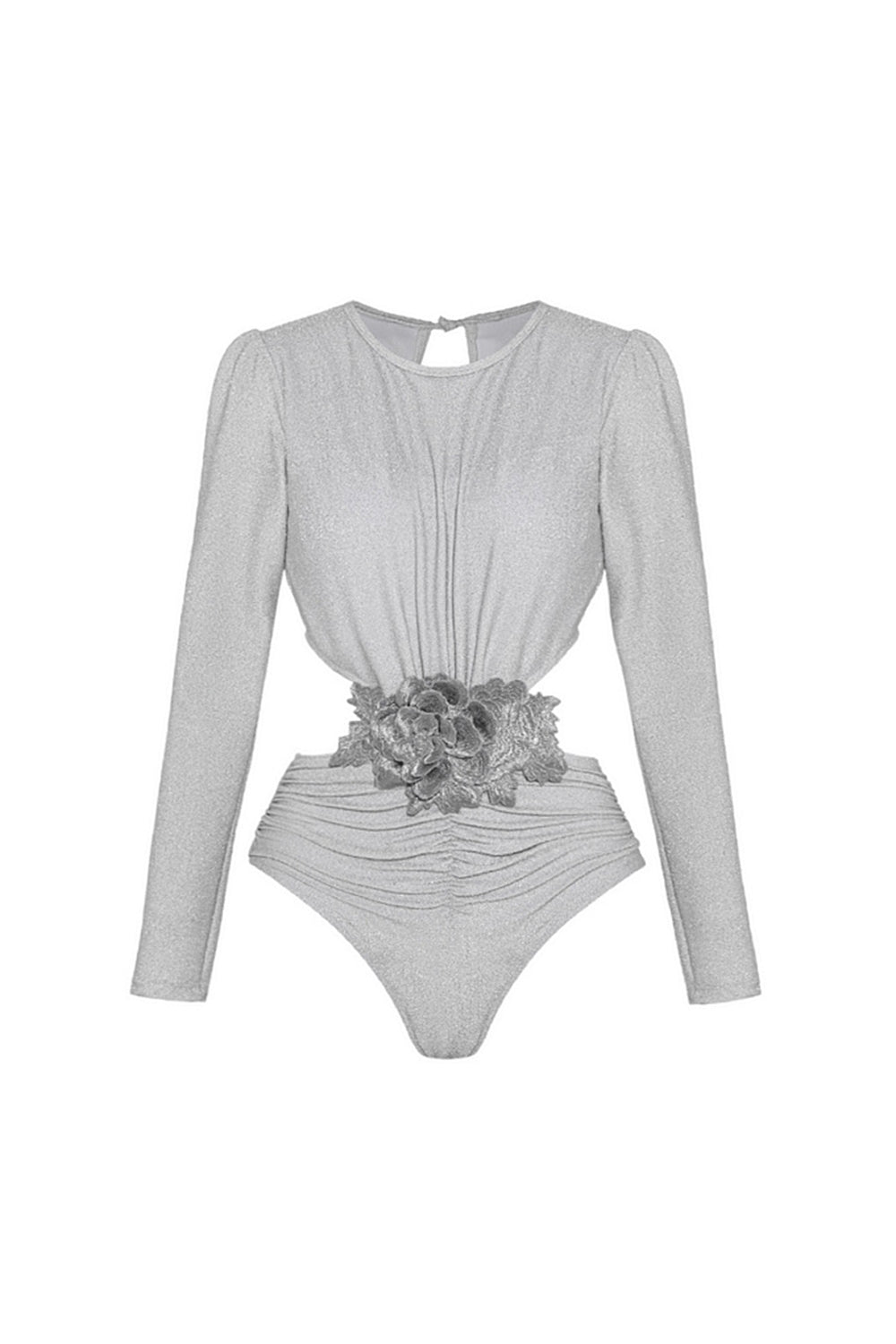 Silver Long Sleeves 2 Piece Swimsuit with Beach Dress